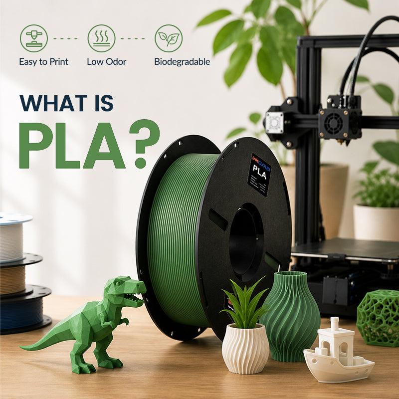 What Is PLA? The Most Popular 3D Printing Material Explained